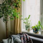 Tips for Creating a Cozy and Inviting Home Environment on a Budget