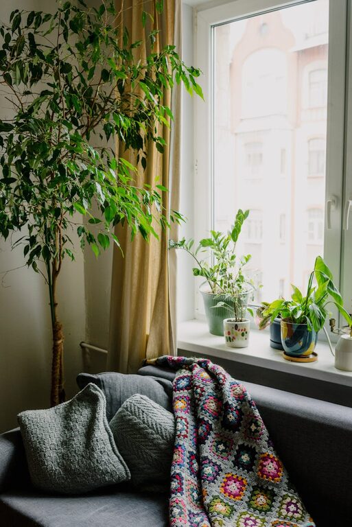 Tips for Creating a Cozy and Inviting Home Environment on a Budget